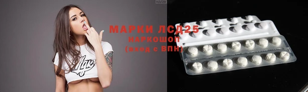 mdpv Краснослободск