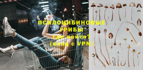дживик Костерёво