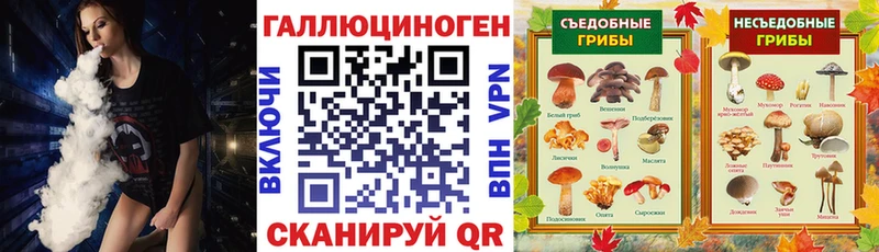 Псилоцибиновые грибы мухоморы  где продают   Кинешма 