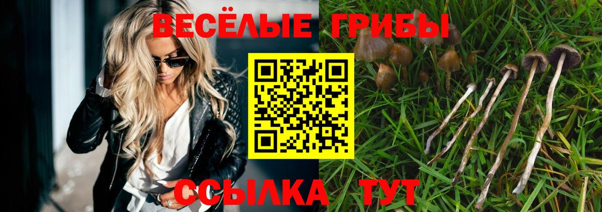 Псилоцибиновые грибы GOLDEN TEACHER Кинешма