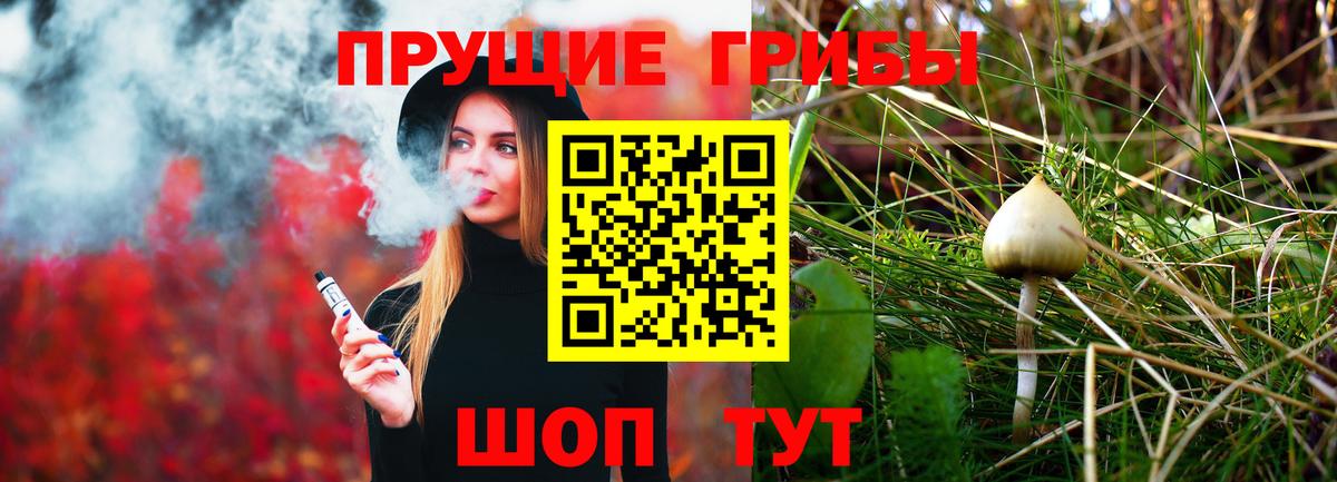 Кинешма  Галлюциногенные грибы мухоморы  Вход с VPN 